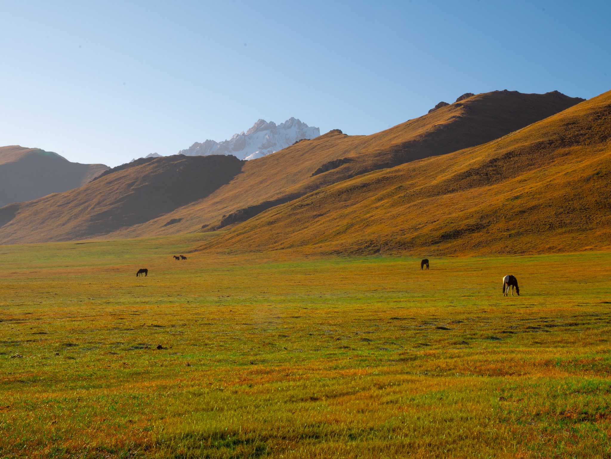 Kyrgyzstan landscape photograph 2
