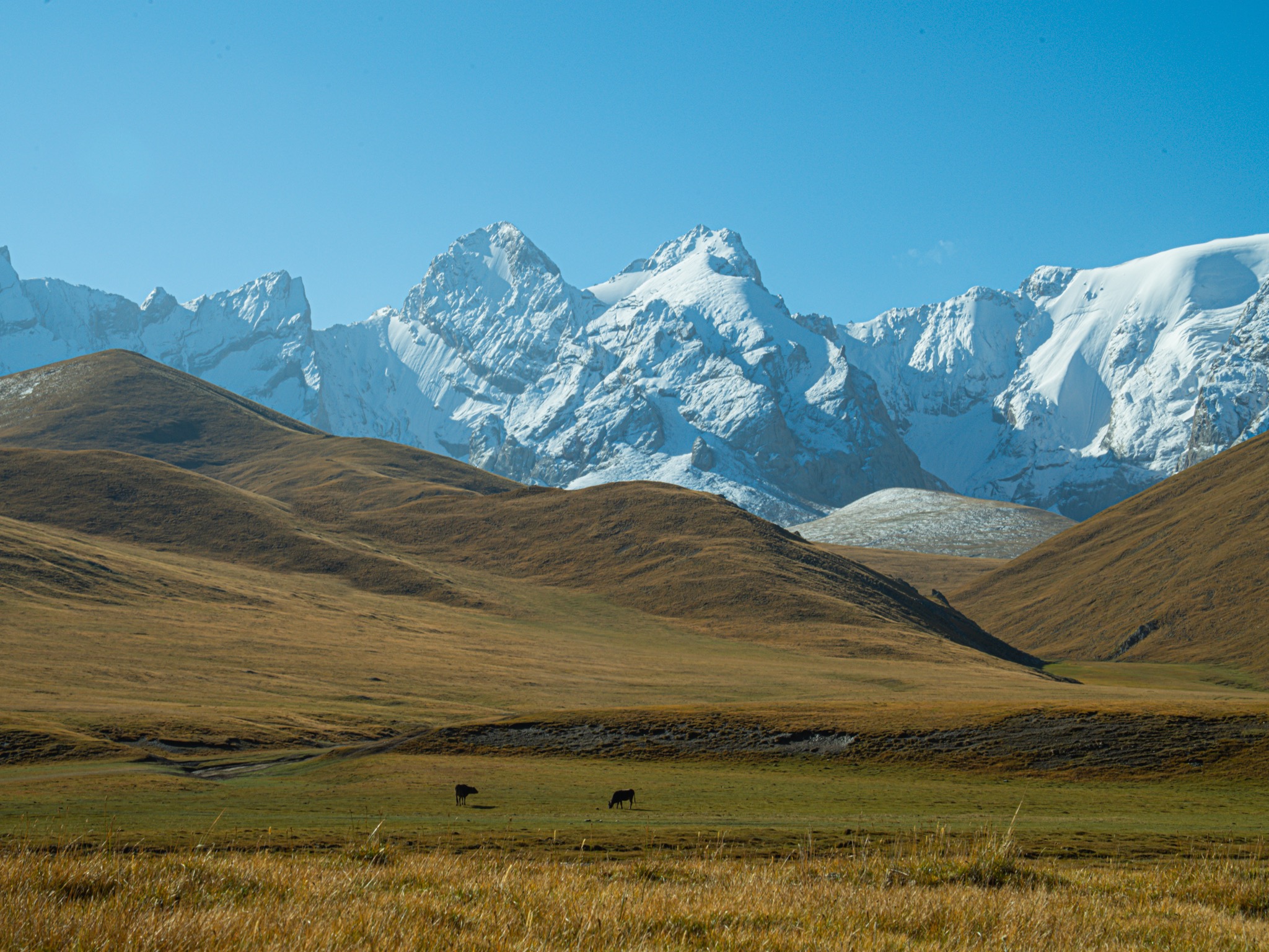 Kyrgyzstan landscape photograph 7